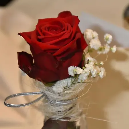 מלון Winter Schöppingen