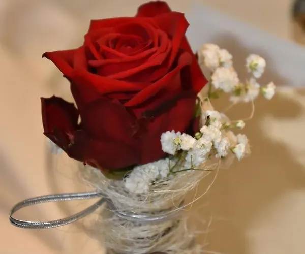 酒店 冬日酒店 Schöppingen